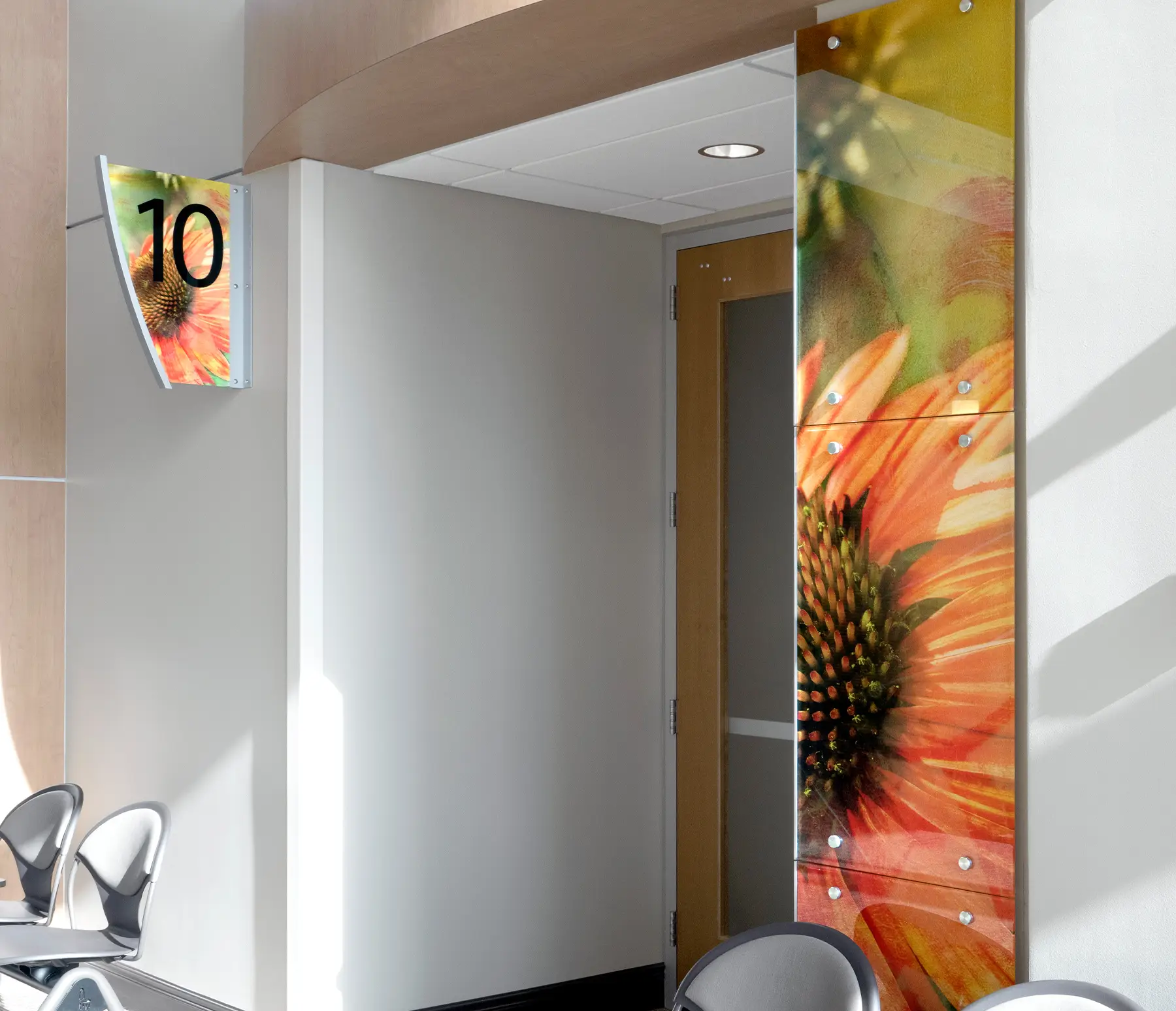 Feature Wall featuring the artwork "Coneflower 2"