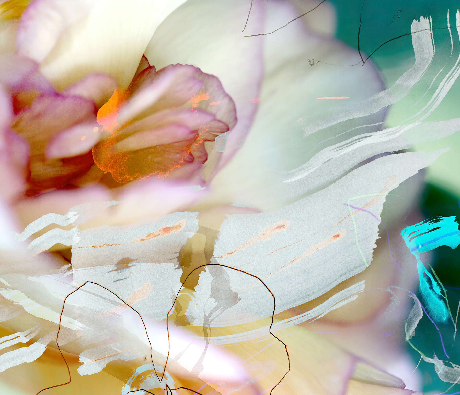 Artwork: Dorothy 2