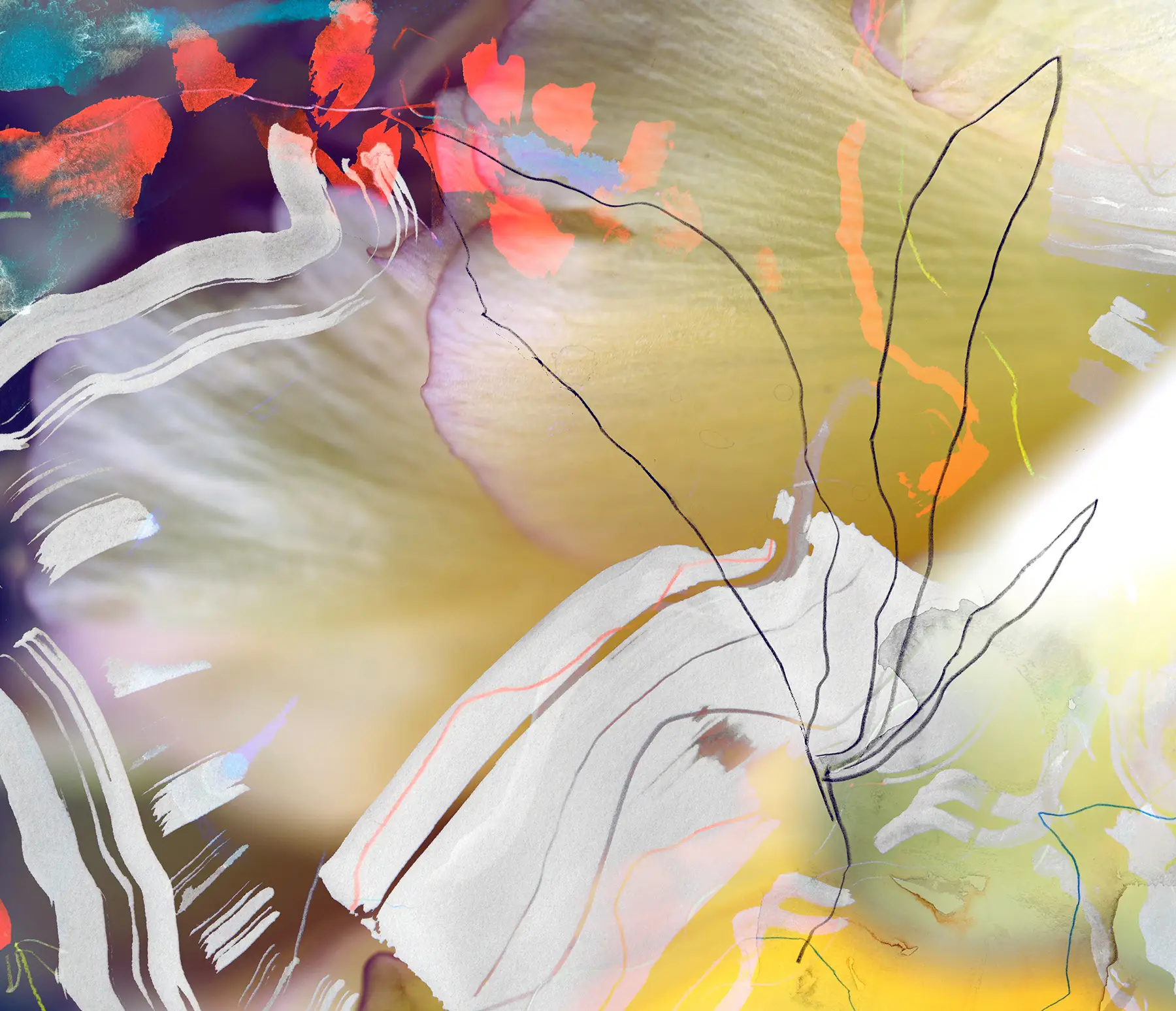 Artwork: Dorothy 1