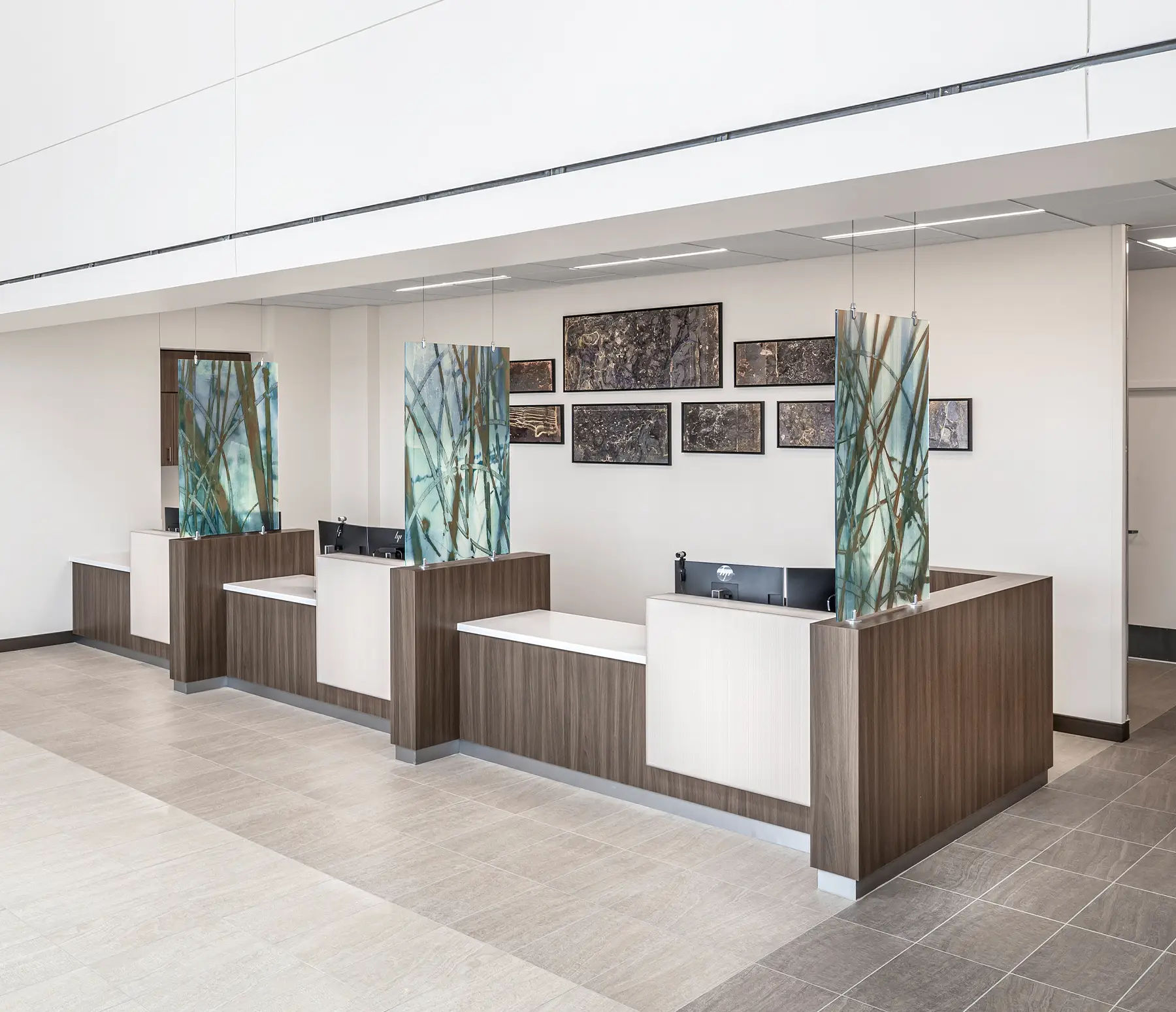 Divider Panels featuring the artwork "Cascade Reeds"