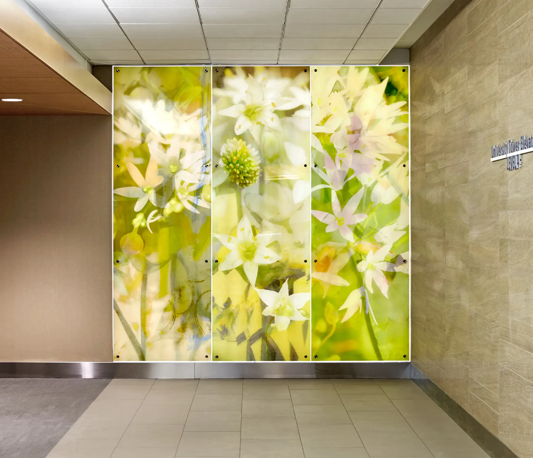 Backlit Art panels featuring the artwork "Garlic"