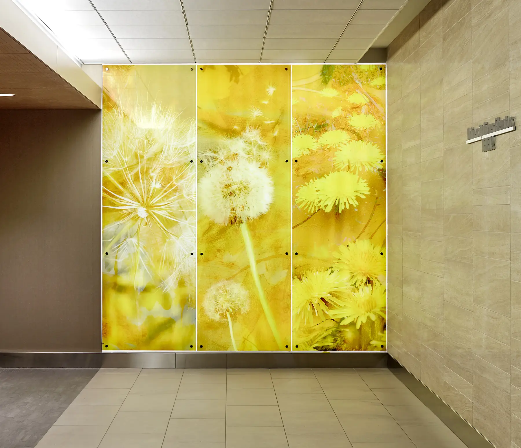 Backlit Art panels featuring the artwork "Dandelion"