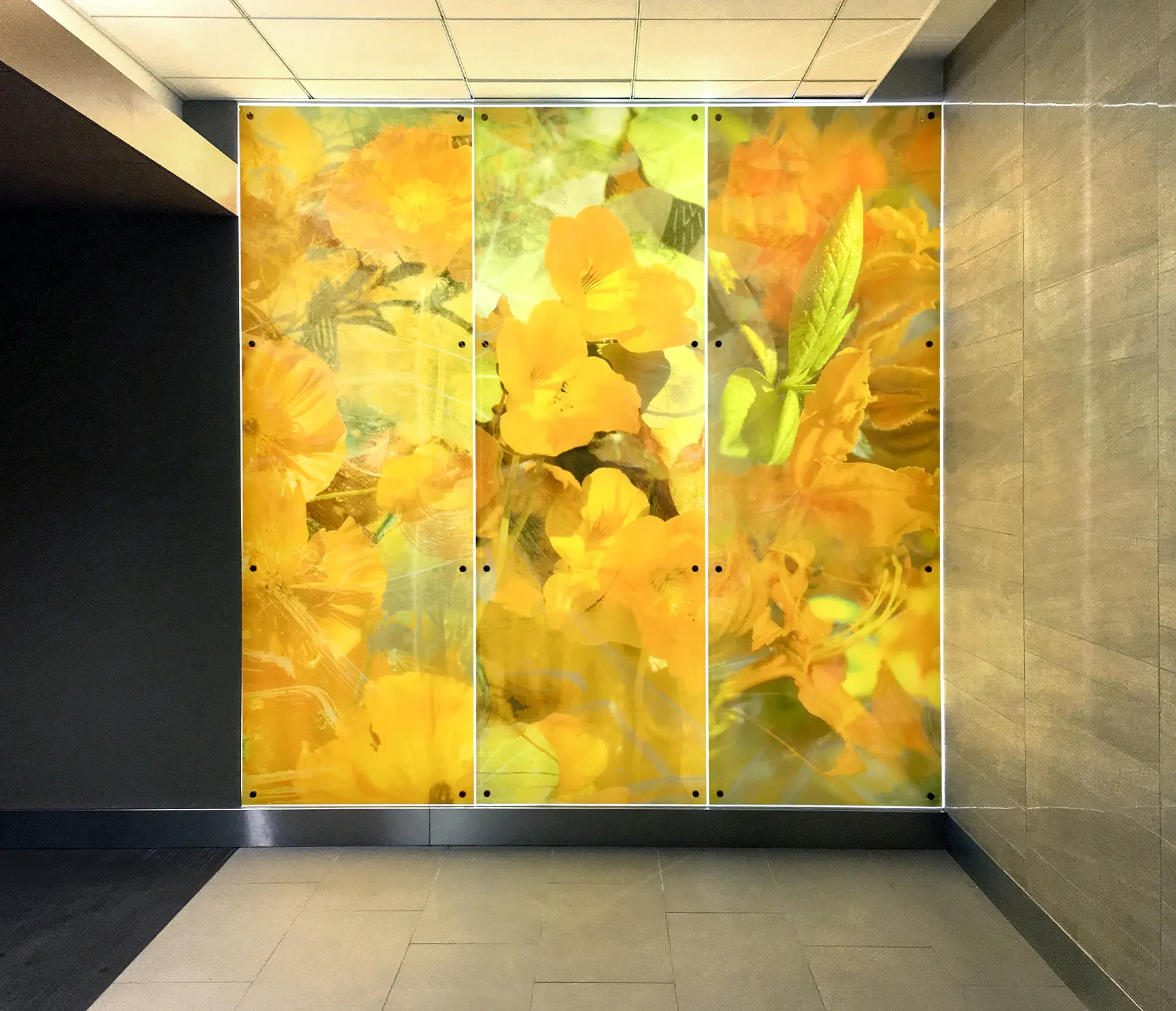 Backlit Art panels featuring the artwork "Daylily"