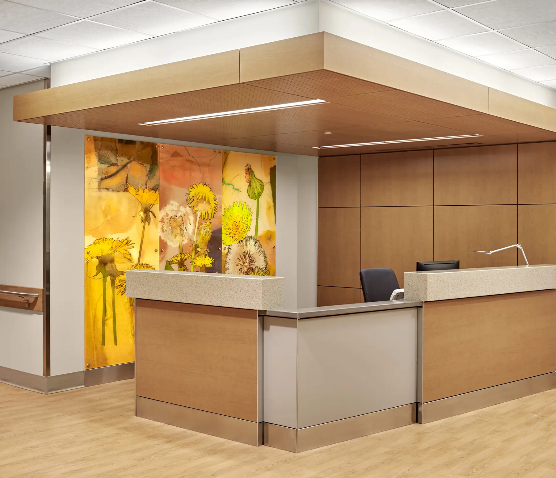 Feature Wall featuring the artwork "Etched Dandelion"