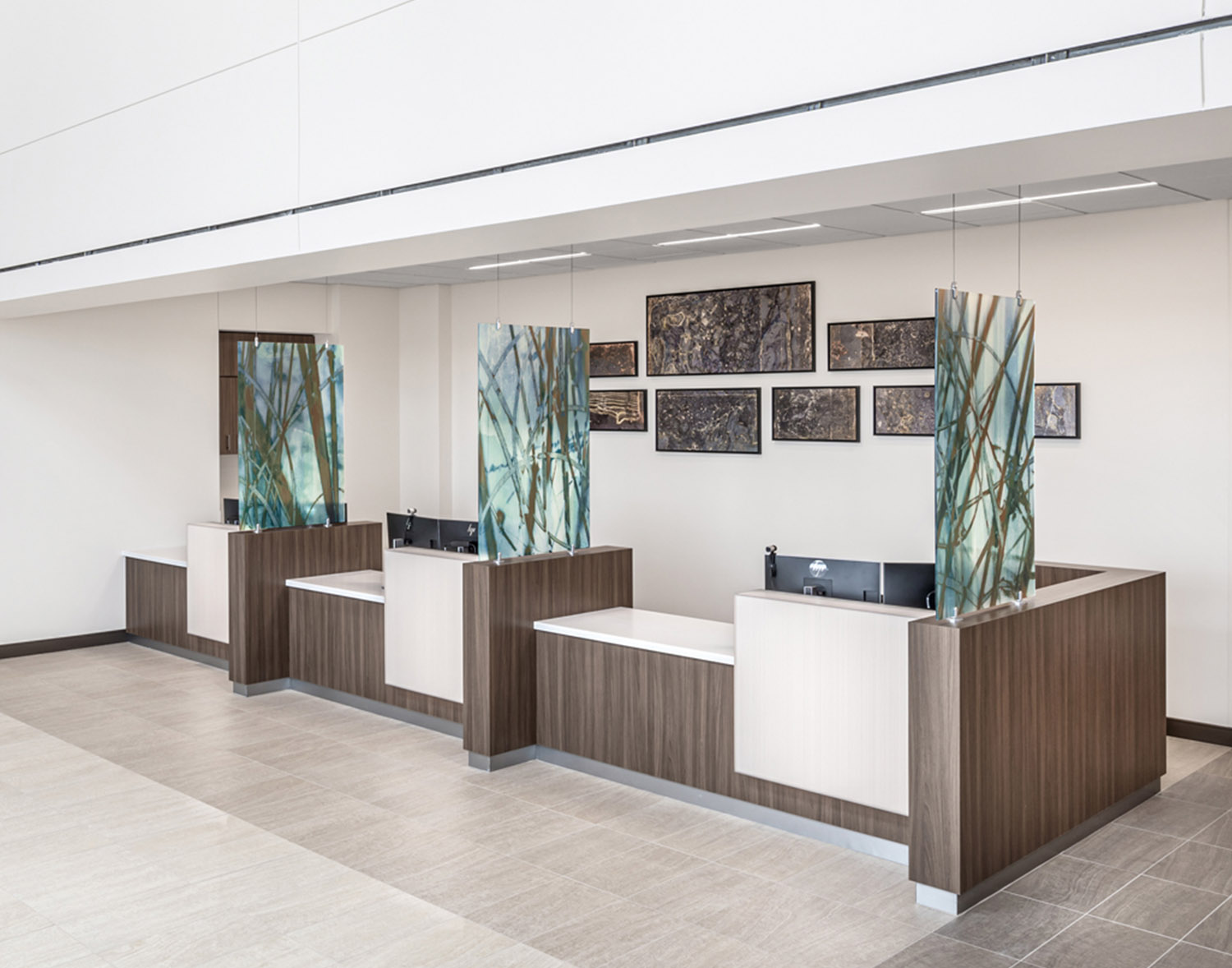 Divider Walls and Panels