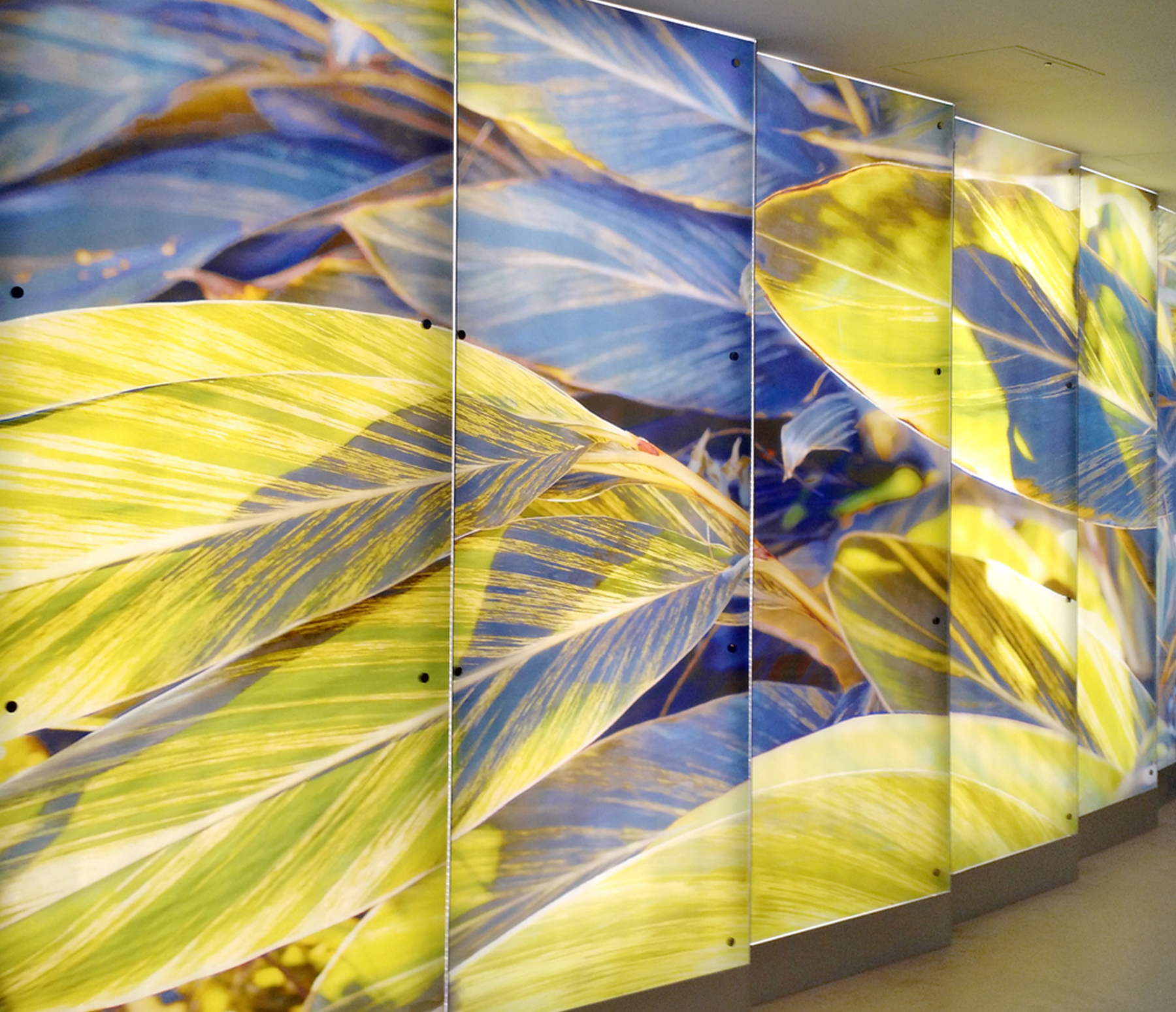 Backlit Feature Wall featuring the artwork "New Leaf"