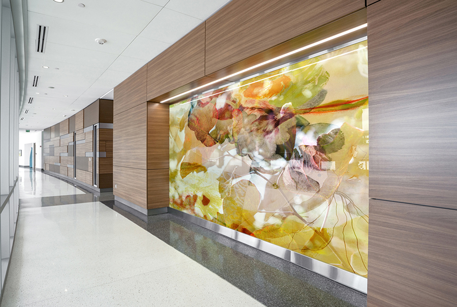 Panorama Art Install