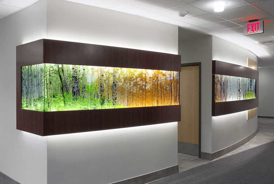 Panorama Art Install
